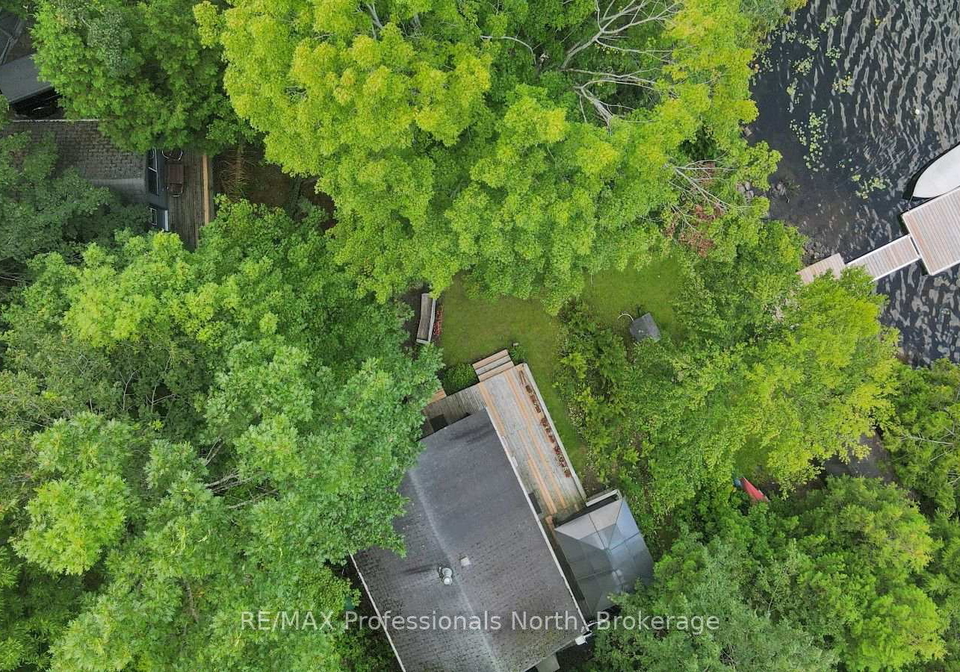 1017-pickerel-lane-highlands-east-ontario-x13723380