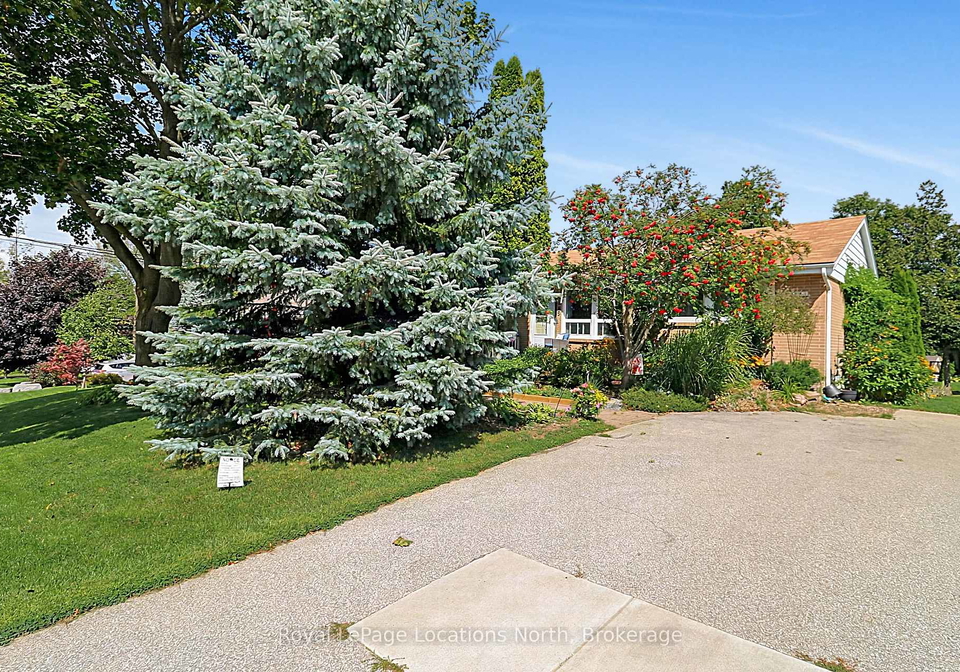 245-pearson-street-n-meaford-ontario-x13724372
