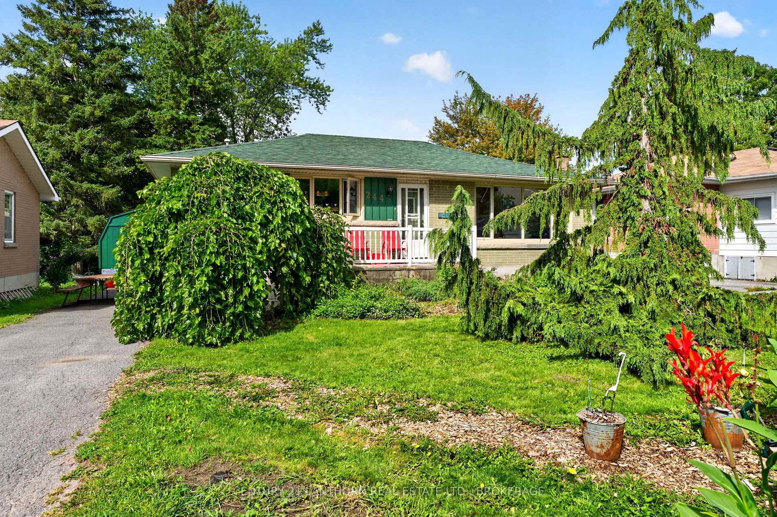 244-yonge-street-kingston-ontario-x13726822