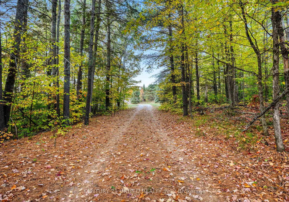 31-mclean-road-hastings-highlands-ontario-x13728026