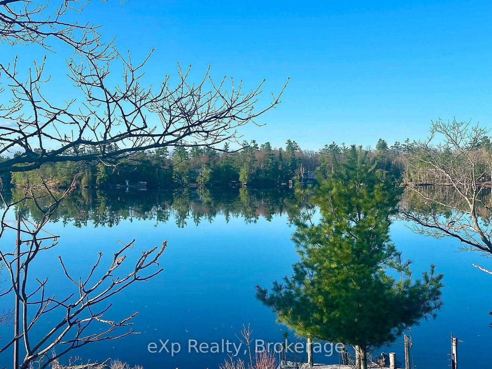 1336-morrison-lake-road-s-gravenhurst-ontario-x13730434