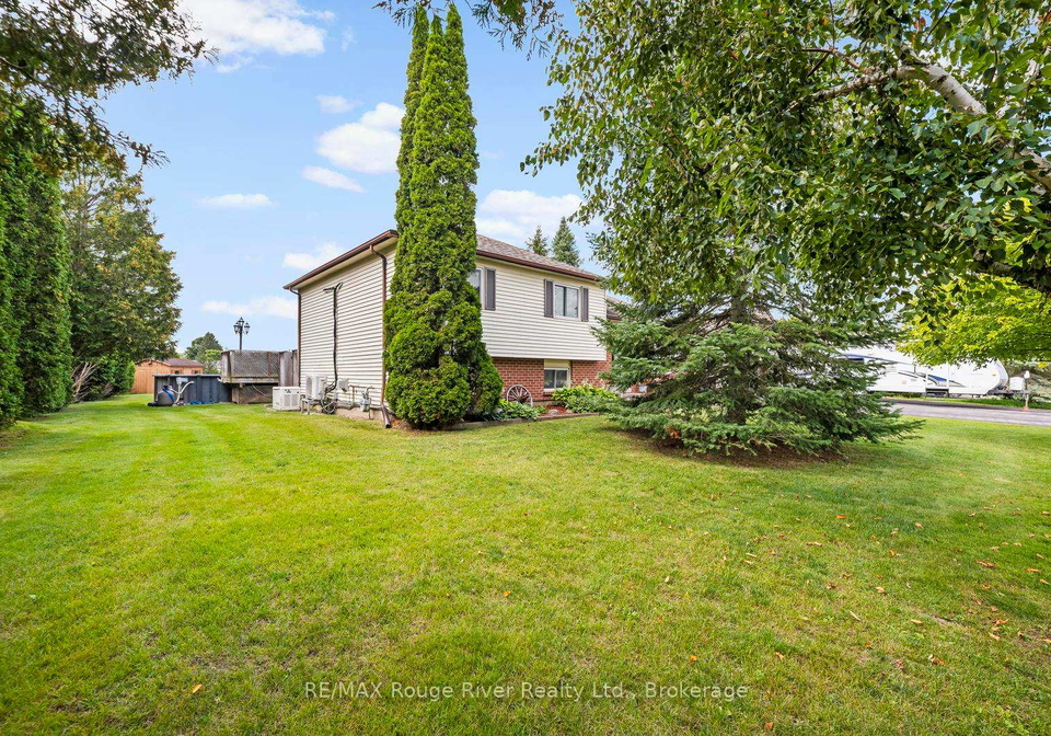 6-hamilton-drive-kawartha-lakes-ontario-x13730454