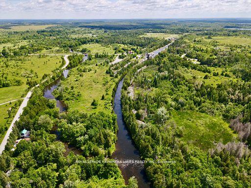 81-mcguire-beach-road-kawartha-lakes-ontario-x13732744