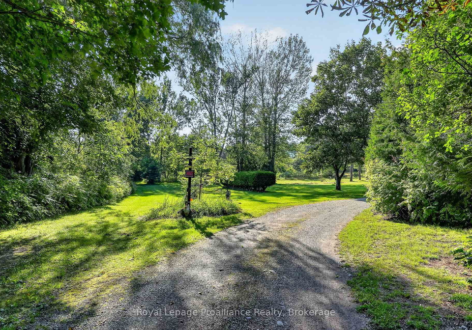 70-simpson-street-brighton-ontario-x13732854