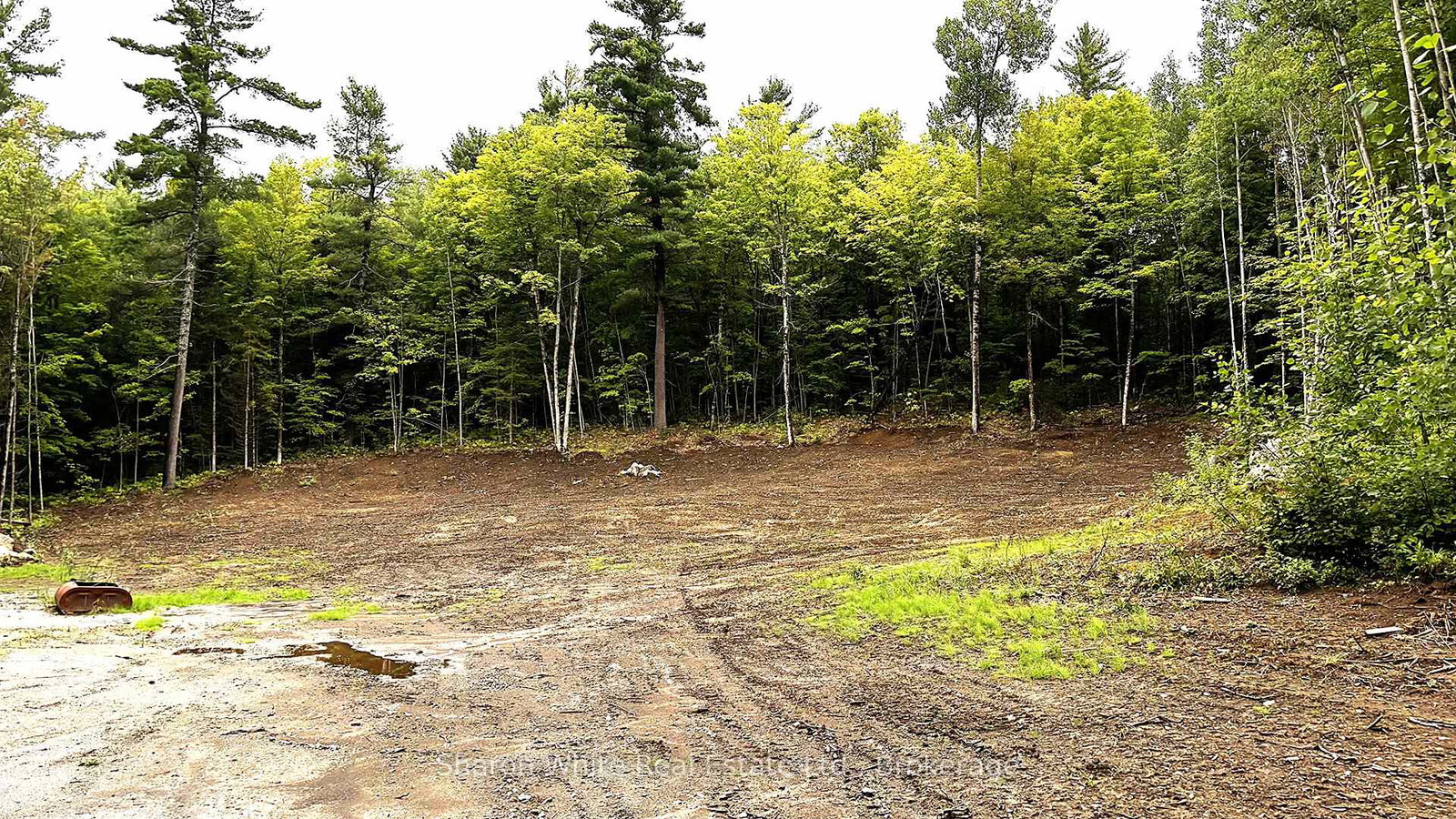204-grant-road-s-hastings-highlands-ontario-x13739050