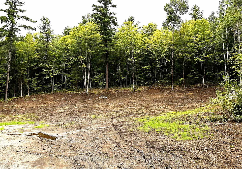 204-grant-road-s-hastings-highlands-ontario-x13739050
