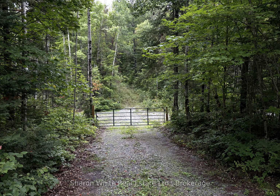 204-grant-road-s-hastings-highlands-ontario-x13739050
