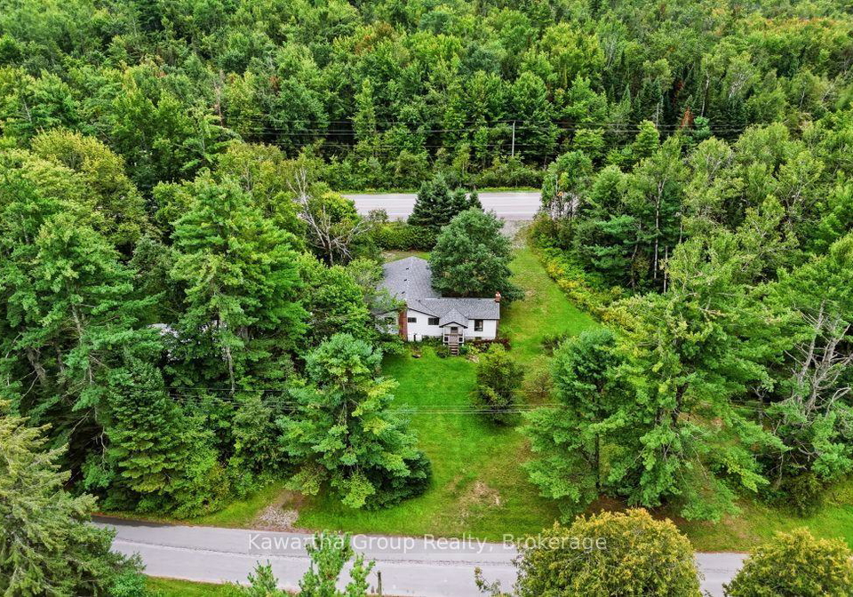 15-cameron-road-kawartha-lakes-ontario-x13742498