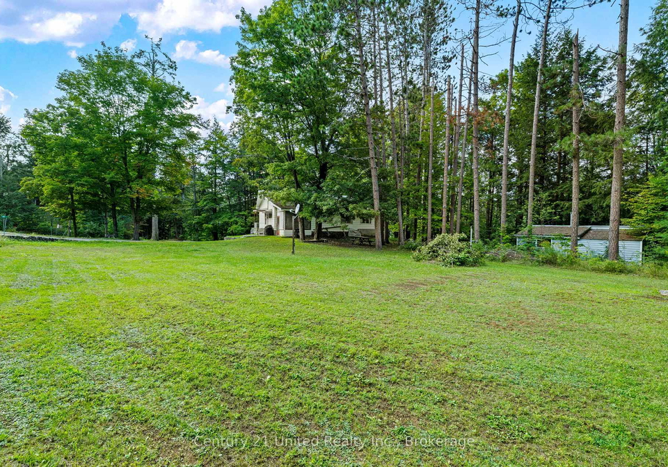 49-mcfadden-road-north-kawartha-ontario-x13745800