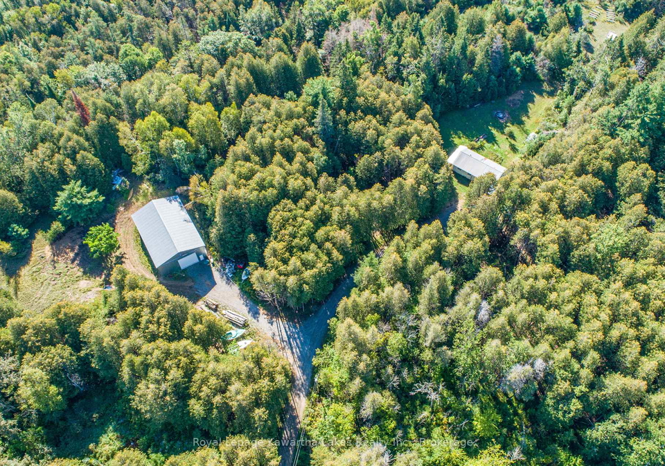 244-dutch-line-road-w-trent-lakes-ontario-x13751892