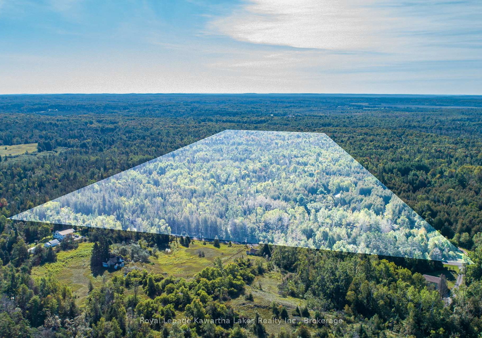 244-dutch-line-road-w-trent-lakes-ontario-x13751892