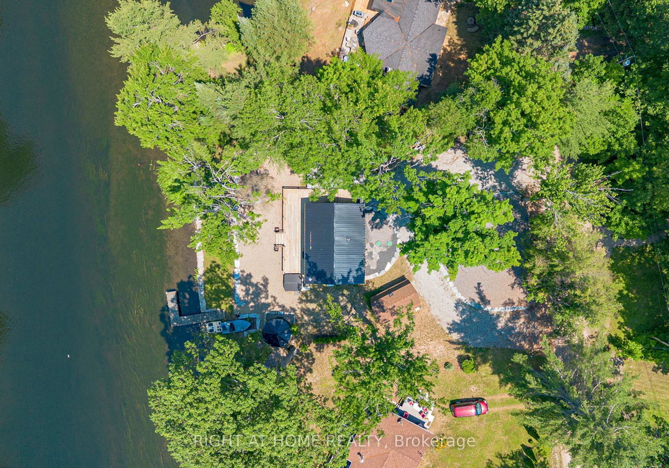 11-little-bay-drive-kawartha-lakes-ontario-x13755584