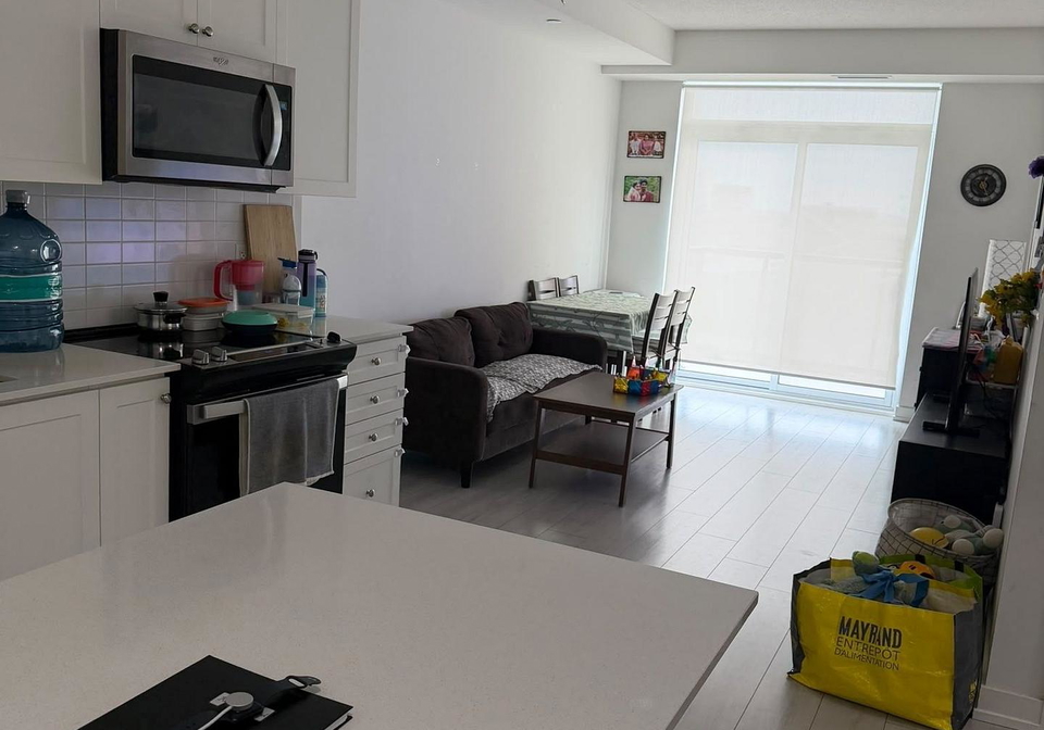 55-duke-street-w-kitchener-ontario-x13756100
