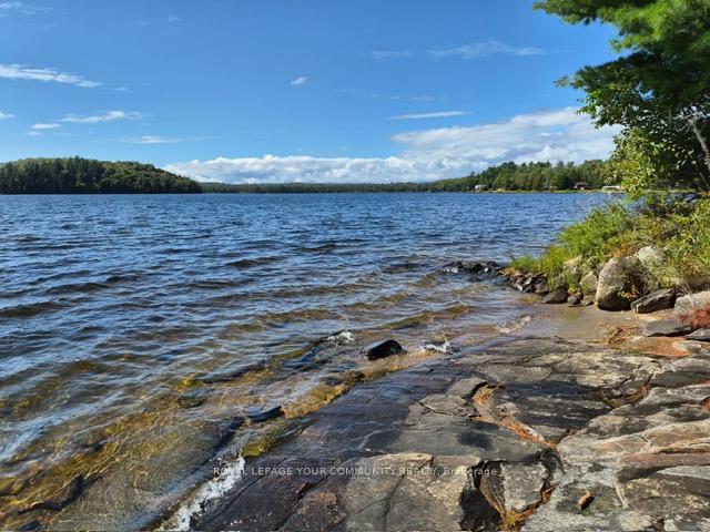2193-fern-glen-road-mcmurrichmonteith-ontario-x13756114