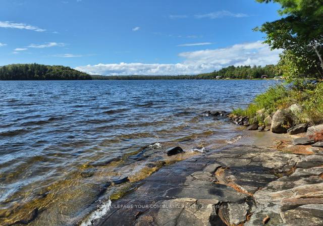 2193-fern-glen-road-mcmurrichmonteith-ontario-x13756114