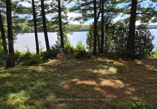 2193-fern-glen-road-mcmurrichmonteith-ontario-x13756114