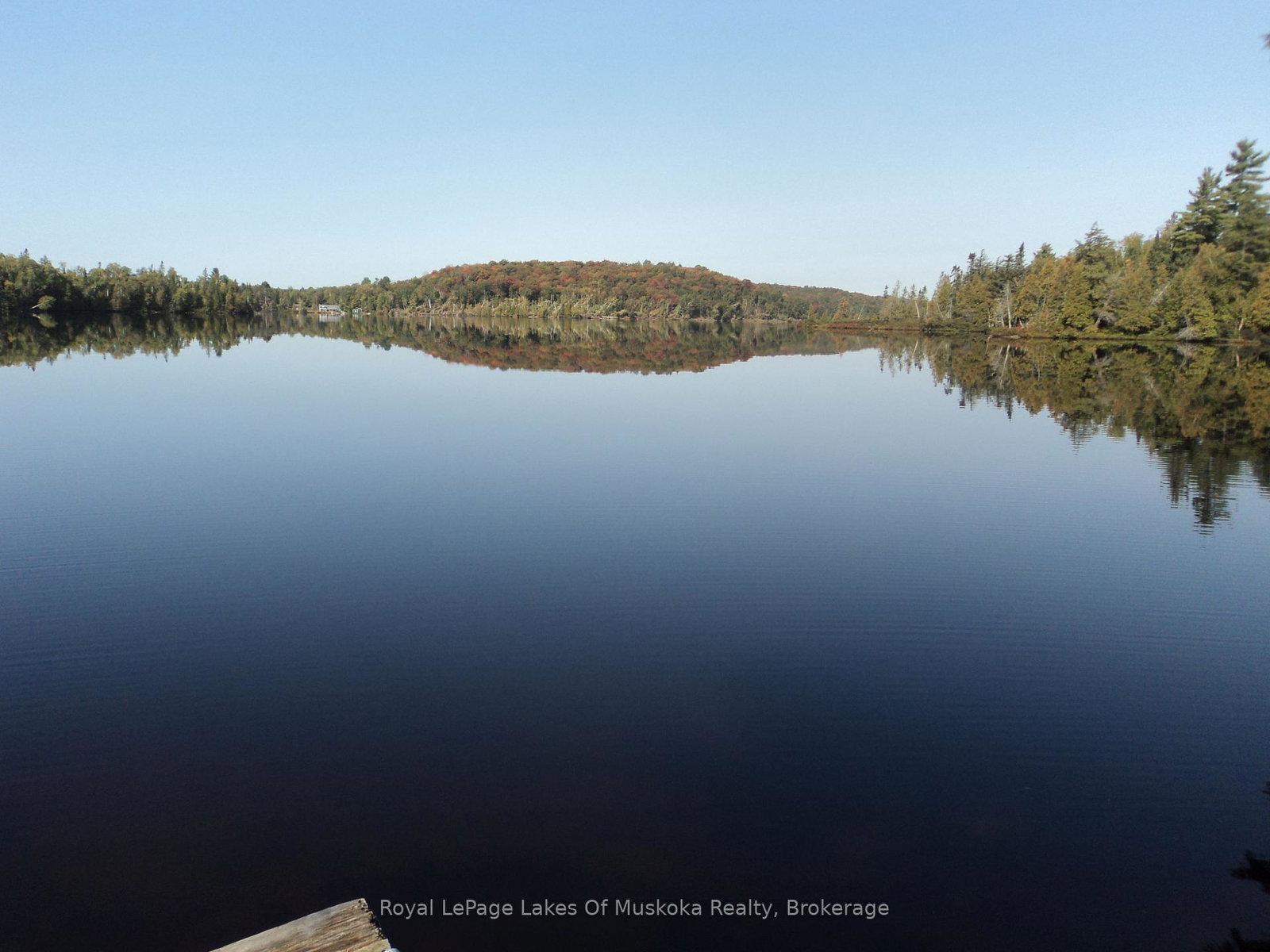 1071-dotty-lake-road-lake-of-bays-ontario-x13760060
