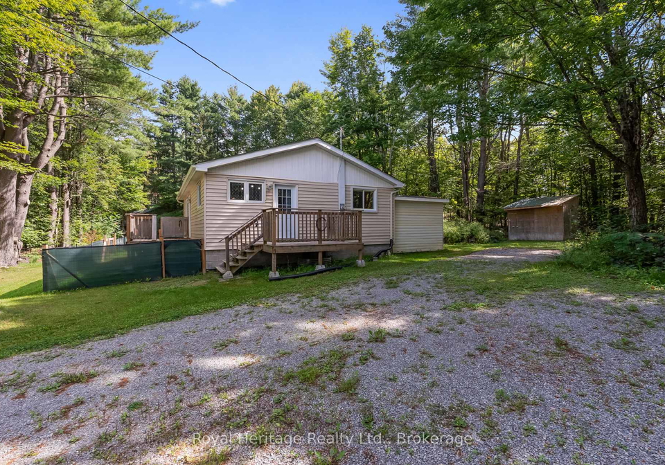 14-morrison-street-kawartha-lakes-ontario-x13764300