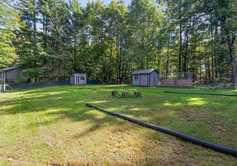 14-morrison-street-kawartha-lakes-ontario-x13764300