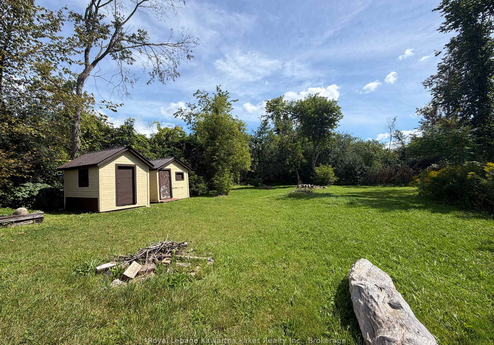 67-murray-street-kawartha-lakes-ontario-x13764386
