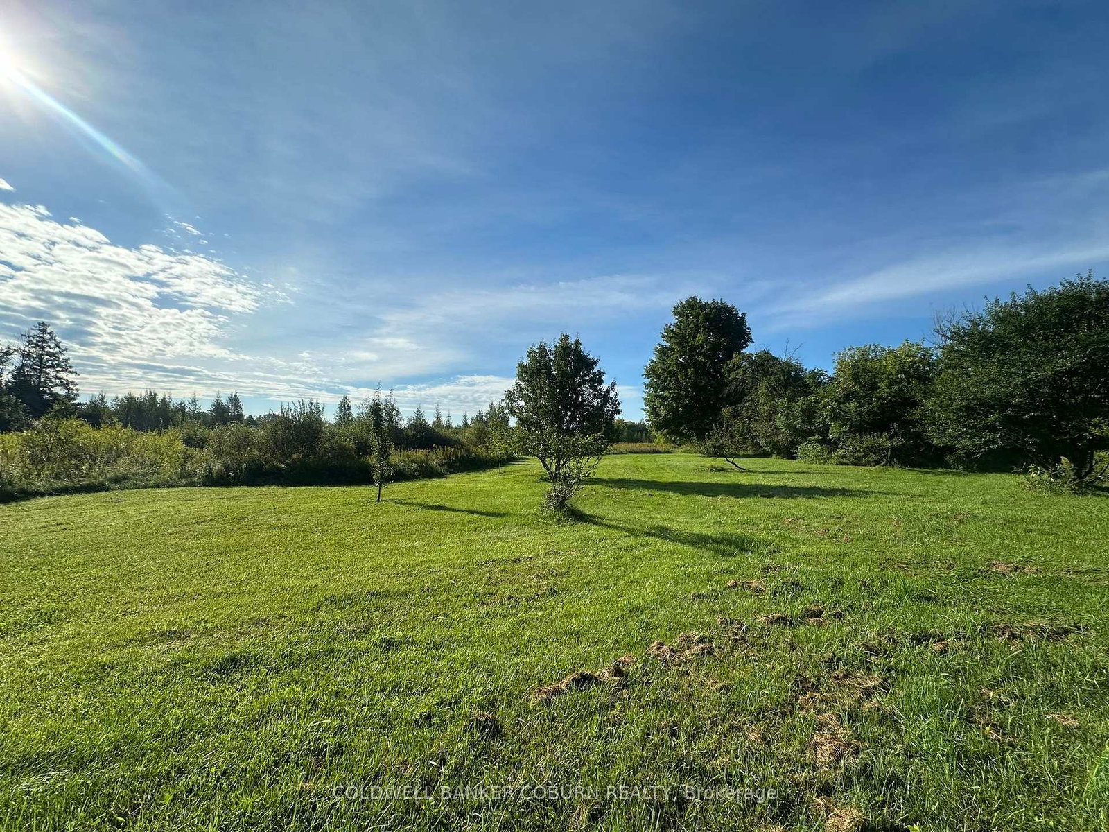 1904-pittston-road-edwardsburghcardinal-ontario-x13767098