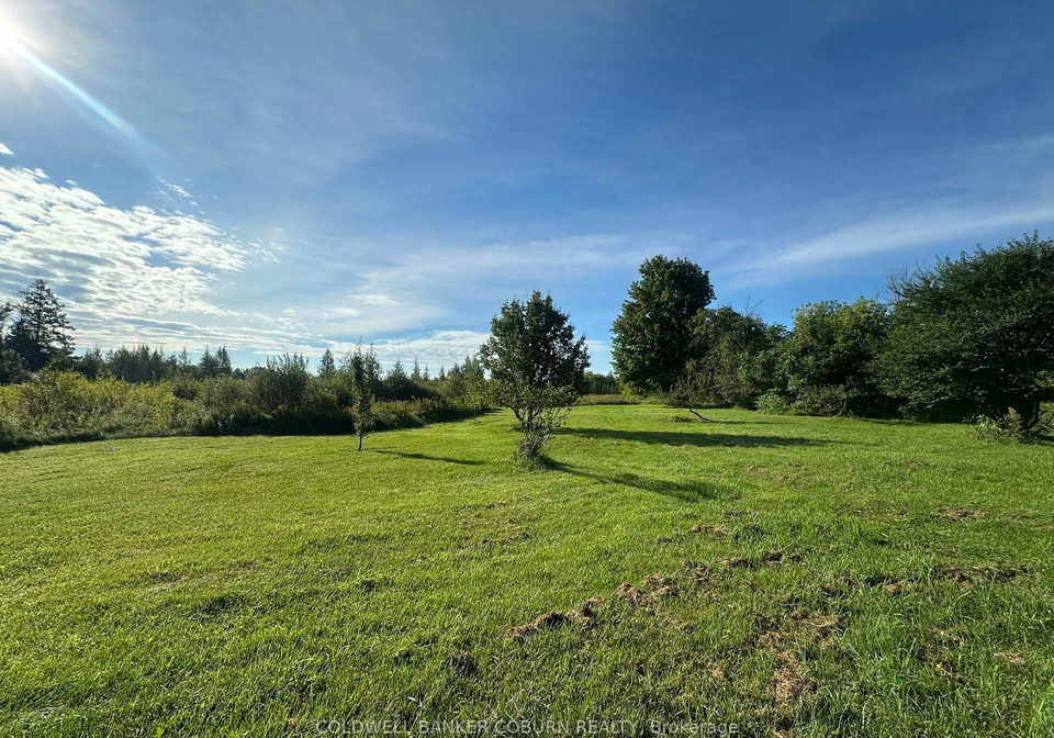 1904-pittston-road-edwardsburghcardinal-ontario-x13767098