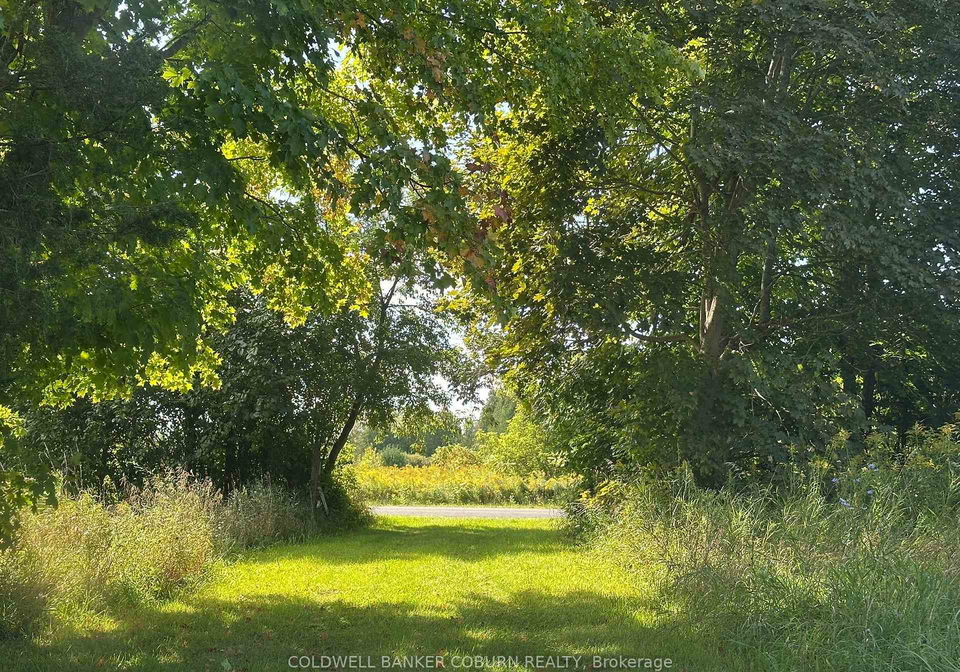 1904-pittston-road-edwardsburghcardinal-ontario-x13767098