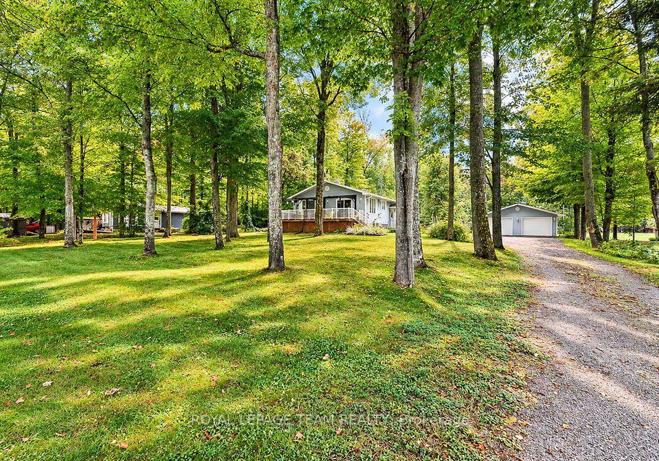 497-mink-lake-road-north-algona-wilberforce-ontario-x13767318