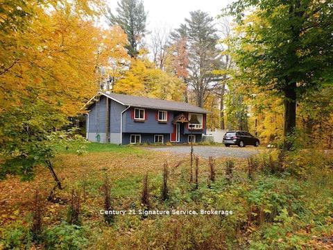 879-stephenson-road-e-huntsville-ontario-x13767604