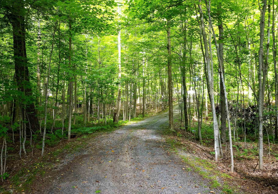 115-tanners-lane-magnetawan-ontario-x13769056