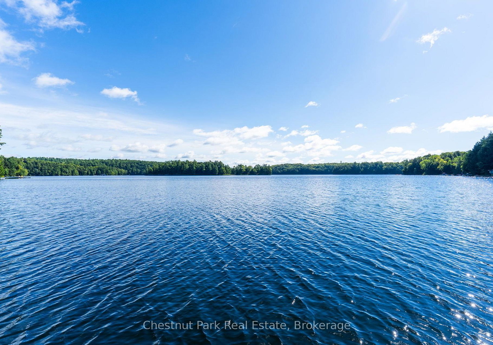 98-woodland-drive-seguin-ontario-x13770352