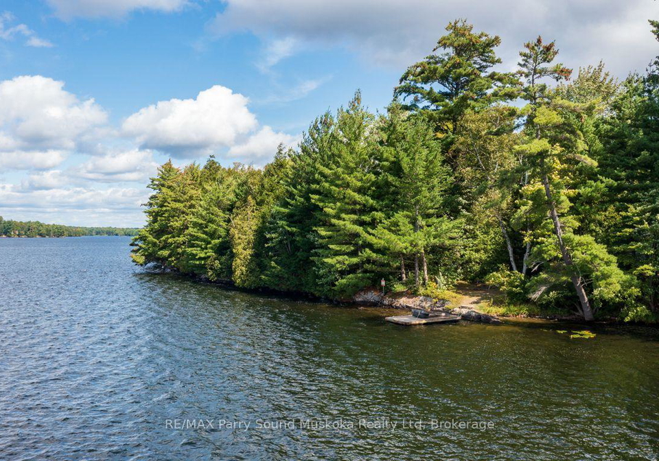 28-porter-lane-mcdougall-ontario-x13774480
