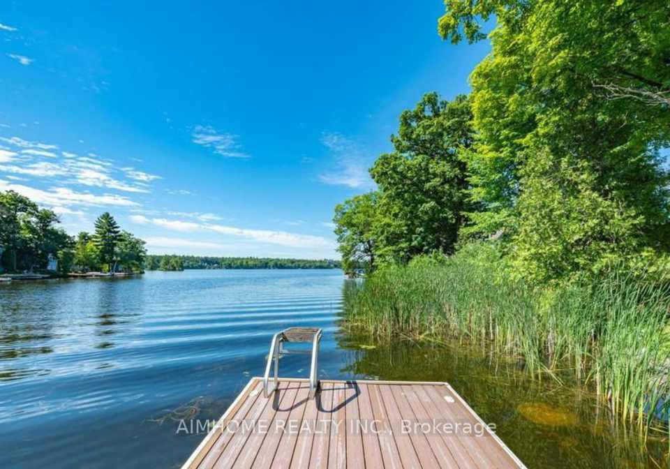 62-fire-route-94-trent-lakes-ontario-x13777426