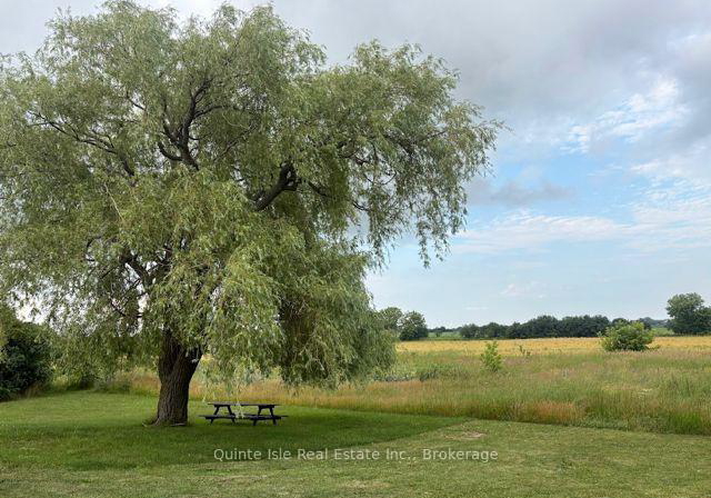 1756-danforth-road-prince-edward-county-ontario-x13777760