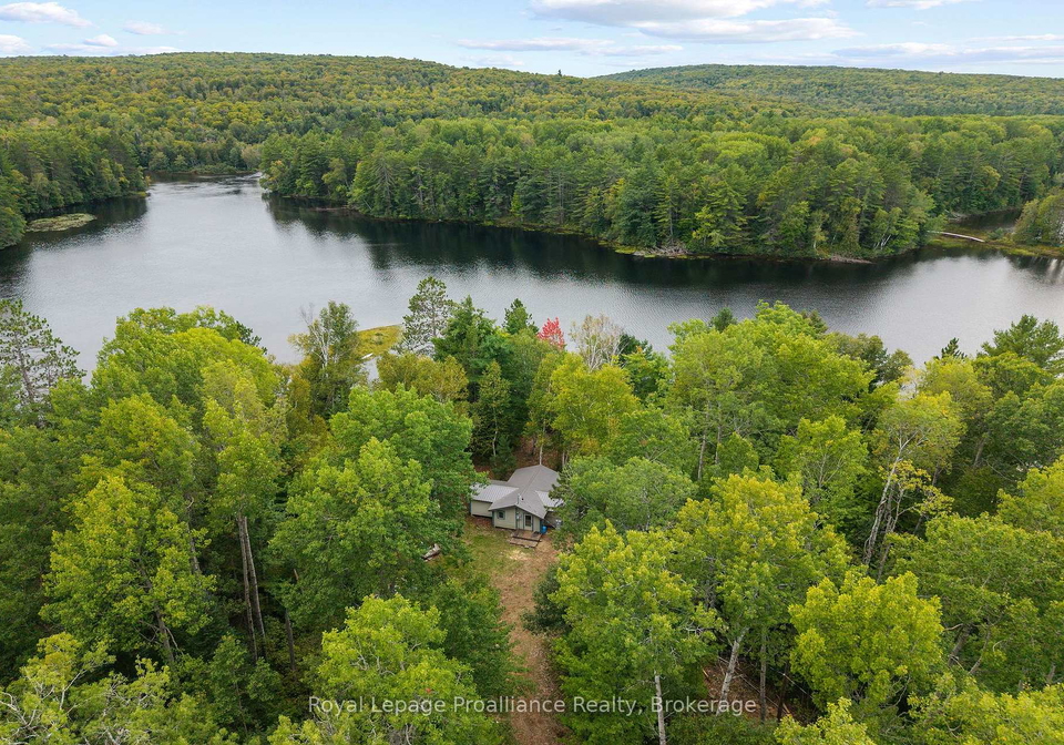 596-river-road-hastings-highlands-ontario-x13780632