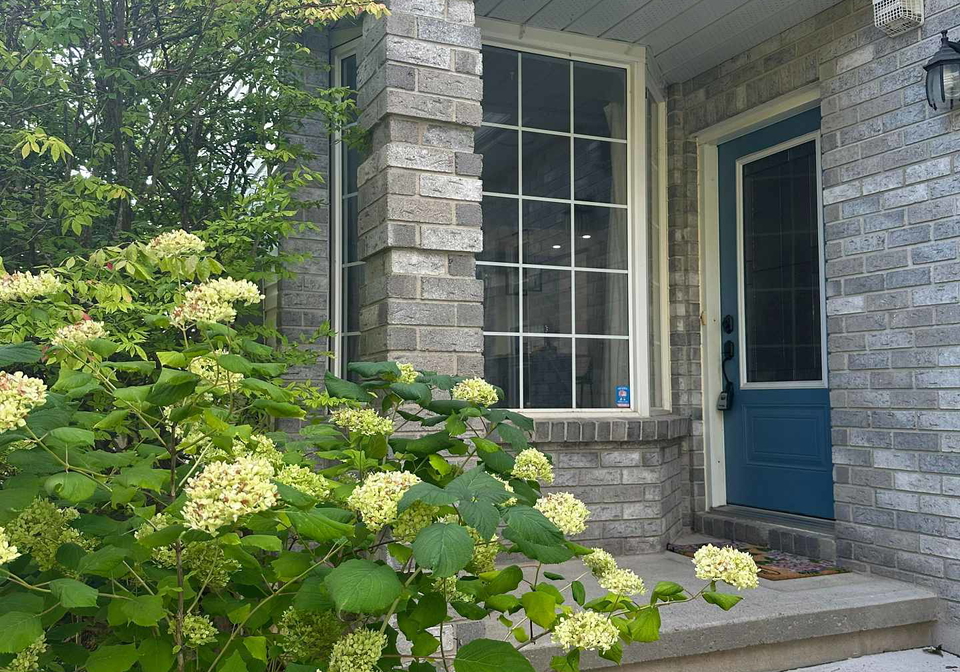 1019-springfield-drive-kingston-ontario-x13782176