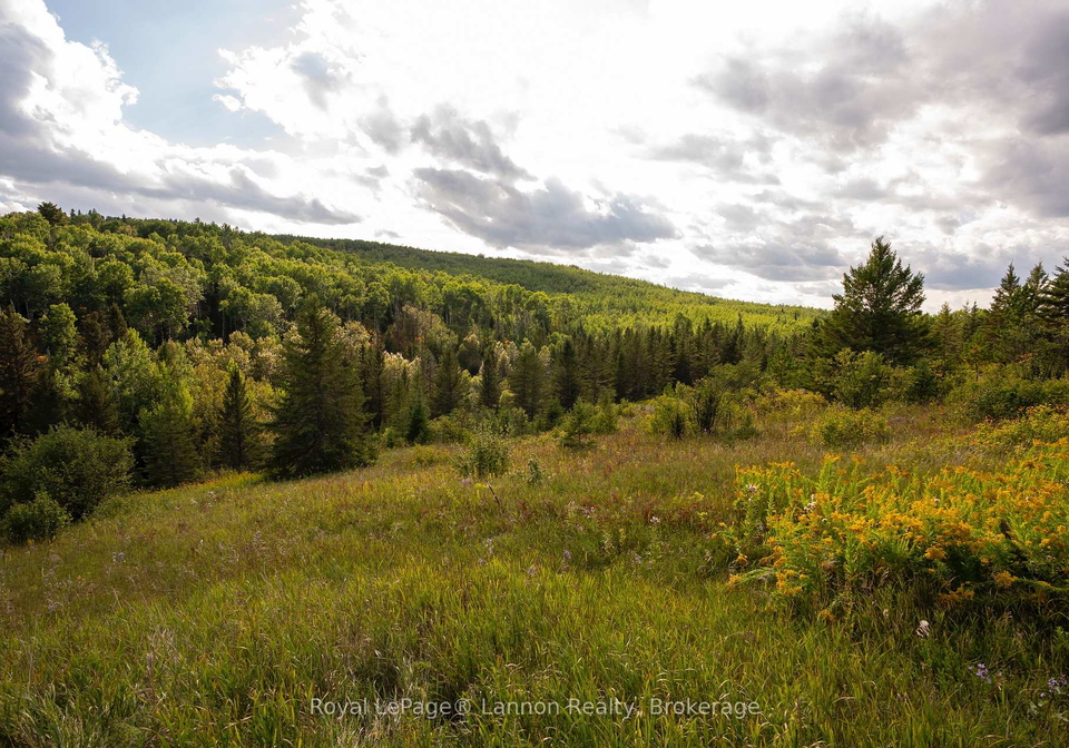 6627-dawson-road-thunder-bay-remote-area-ontario-x13782570