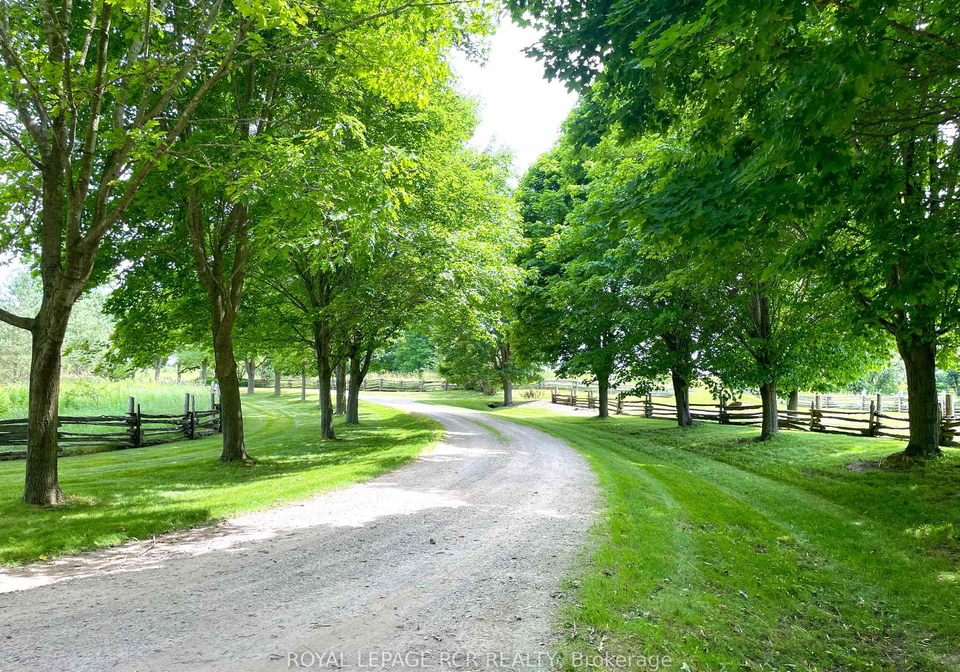101089-10th-side-road-east-garafraxa-ontario-x13787700