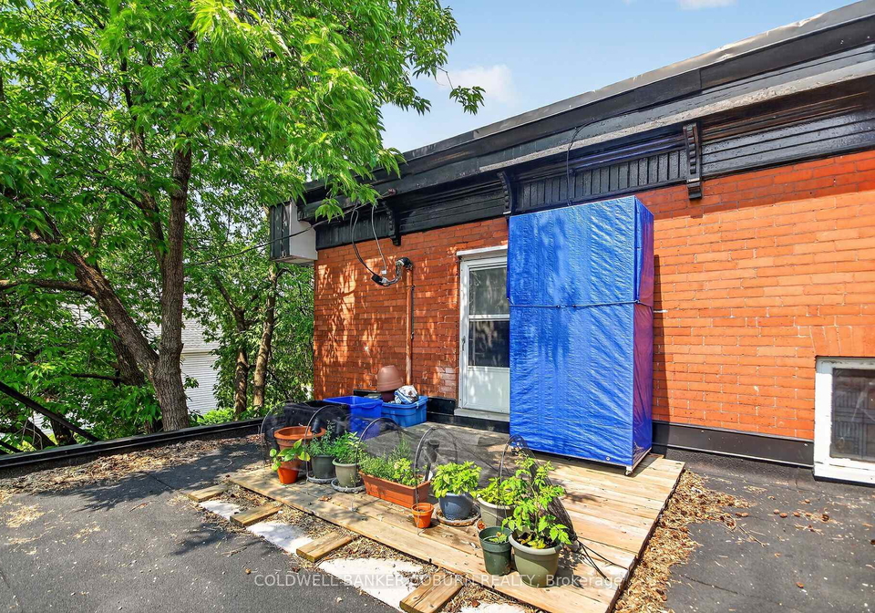 698-cooper-street-ottawa-ontario-x13791902
