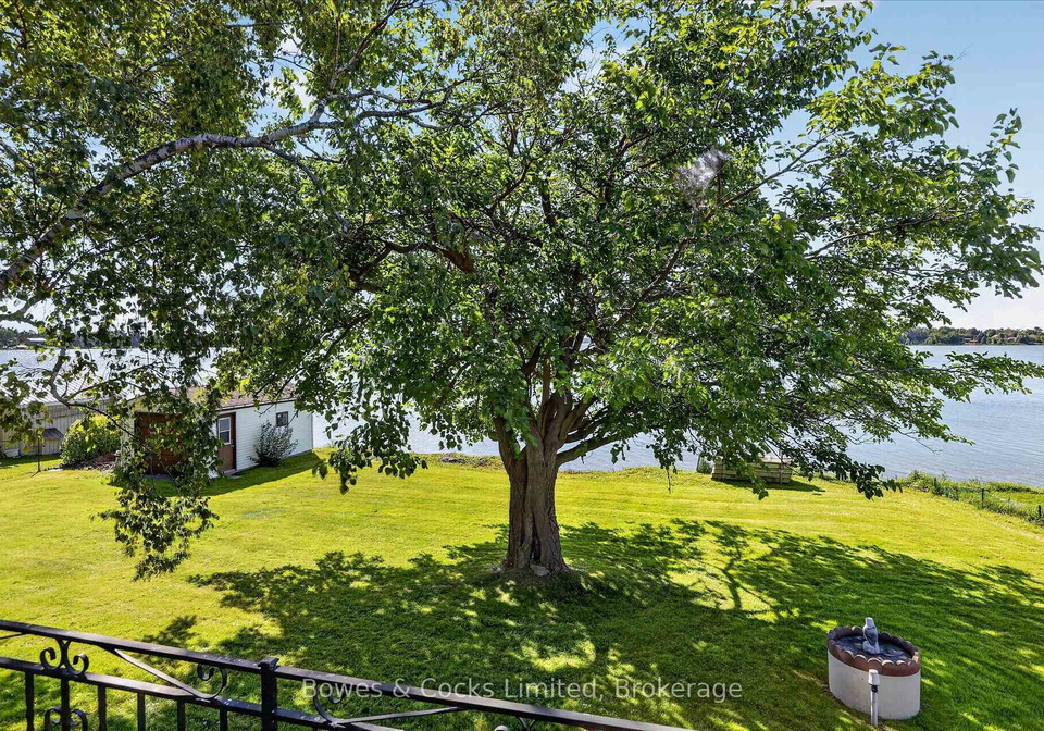 79-oakdene-crescent-kawartha-lakes-ontario-x13793232