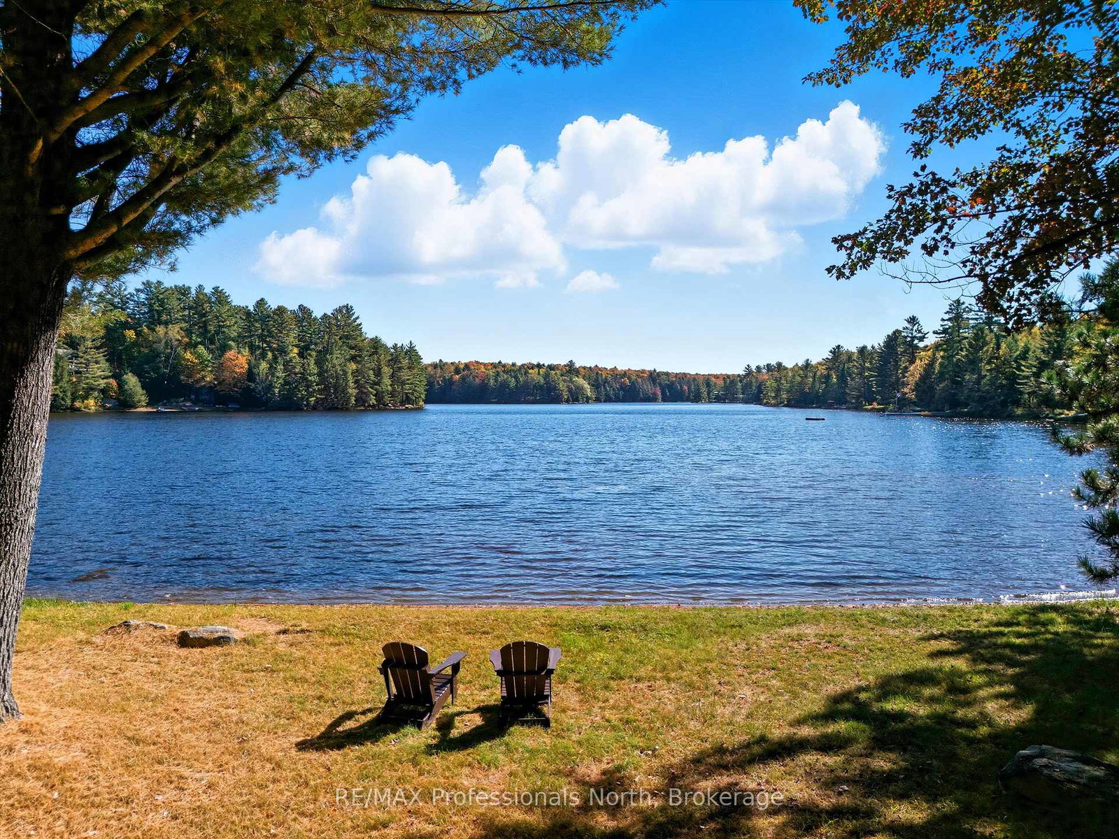 293-otter-lake-road-huntsville-ontario-x13798242