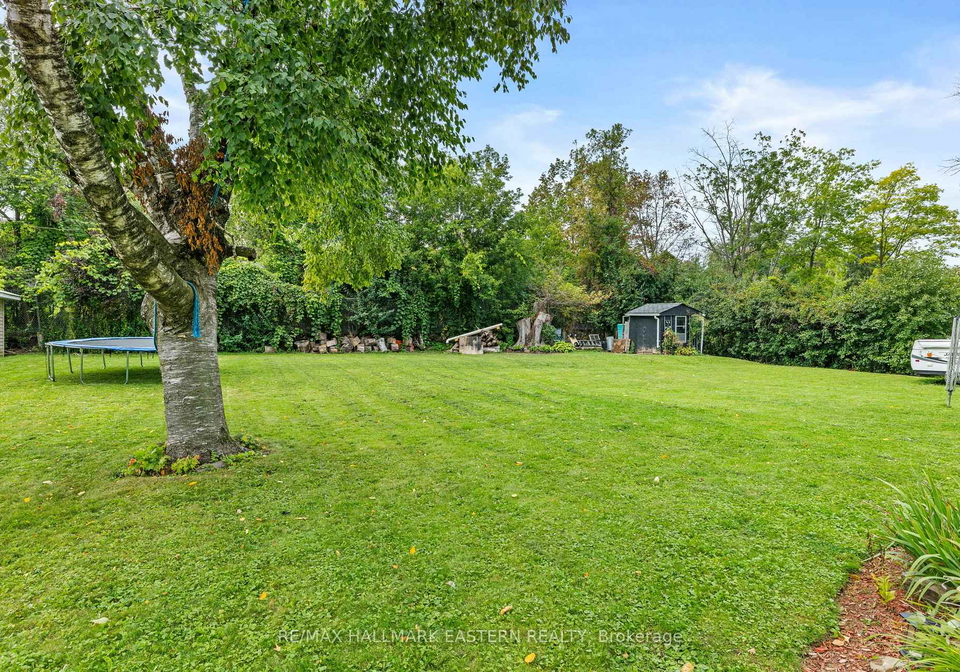 917-webber-avenue-peterborough-ontario-x13803860