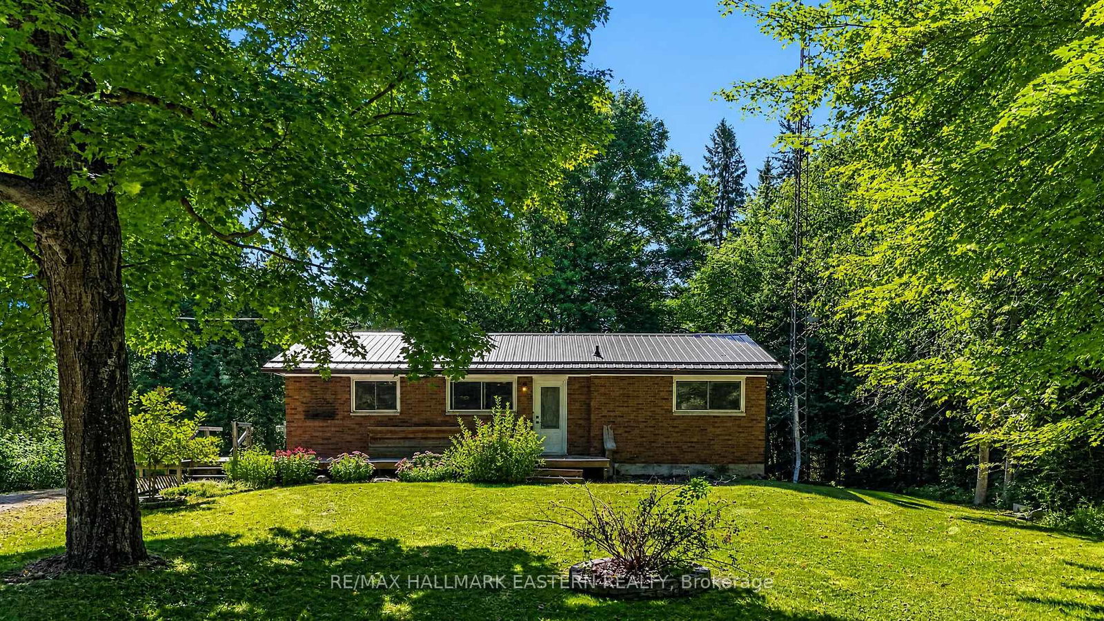 3743-dummer-asphodel-road-asphodel-norwood-ontario-x13804592