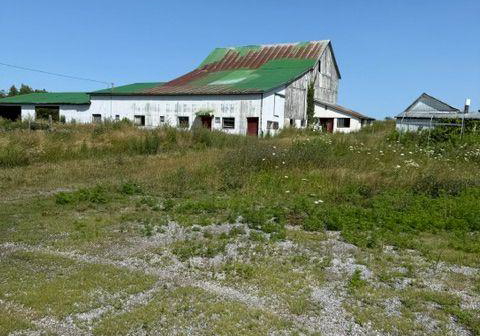 381-squire-road-stirling-rawdon-ontario-x13813890