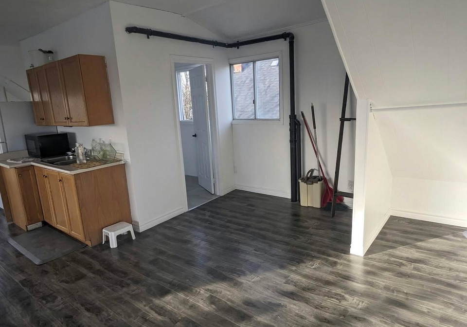 18-sheldon-avenue-n-kitchener-ontario-x13826880