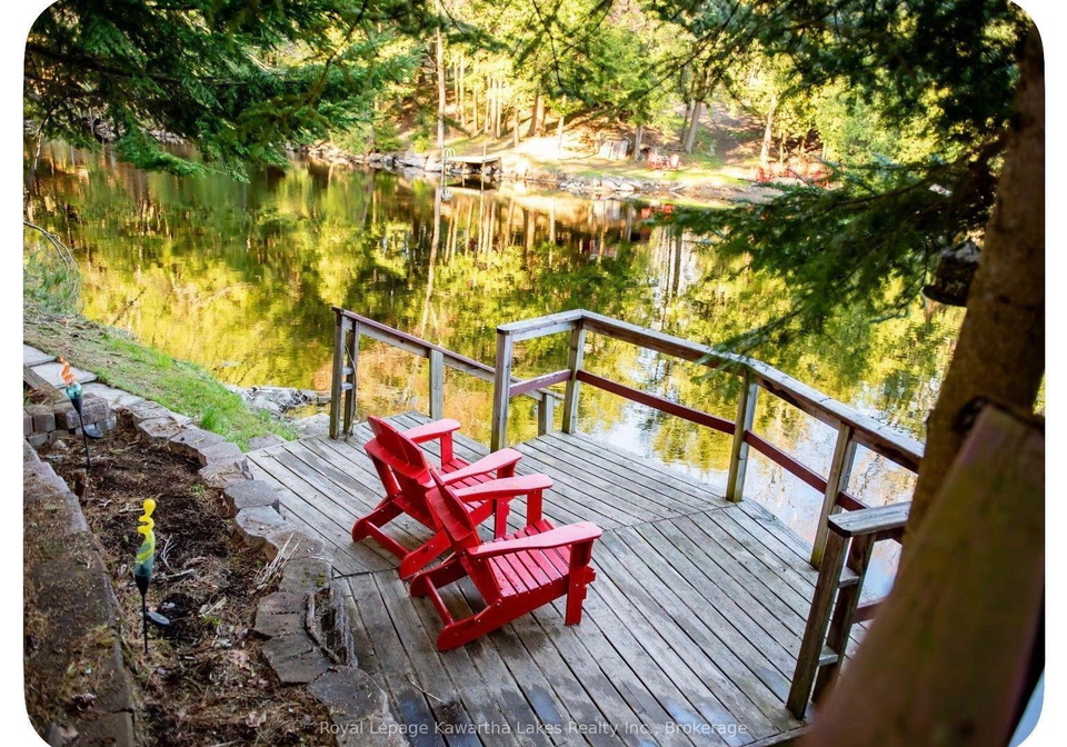 6-cameron-road-kawartha-lakes-ontario-x13827688
