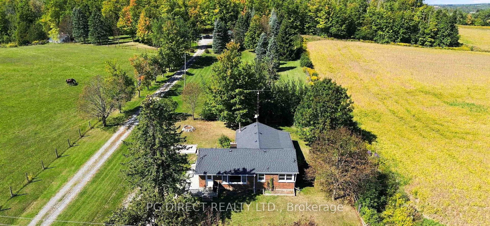786-lindsay-road-selwyn-ontario-x13829468