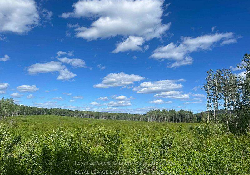 189-larson-road-neebing-ontario-x13830236