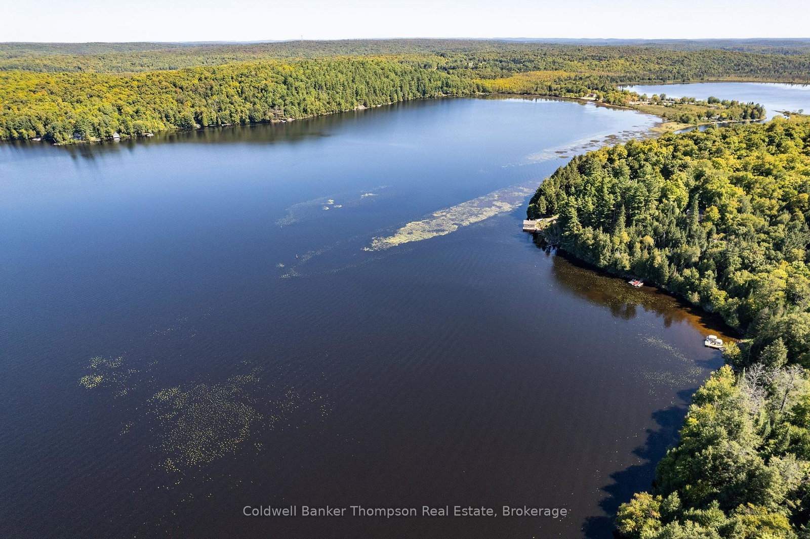 115-sandwood-drive-ryerson-ontario-x13830246