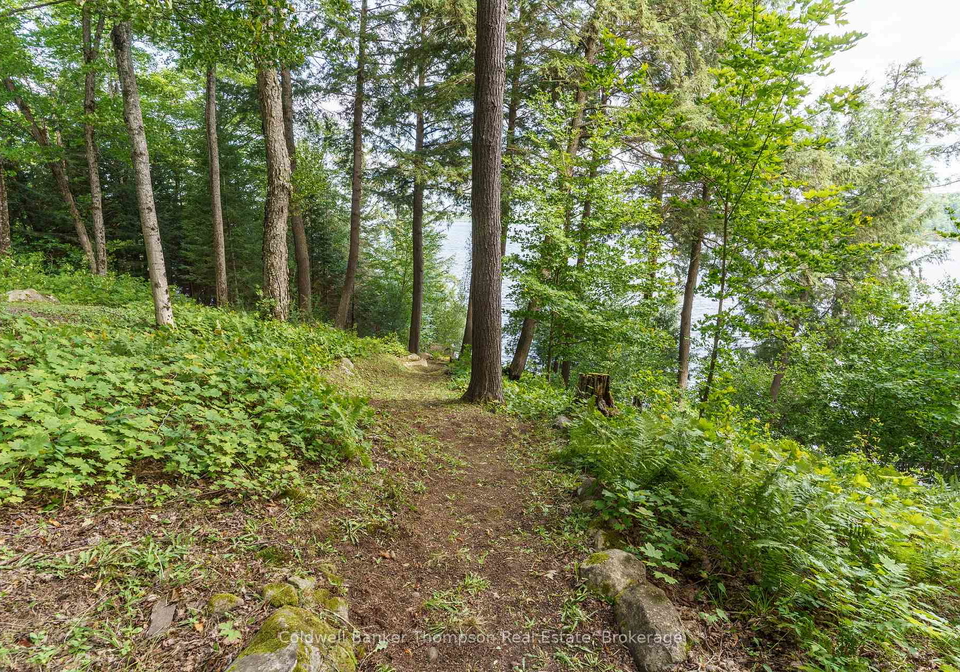 115-sandwood-drive-ryerson-ontario-x13830246